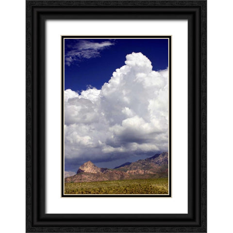 Gathering Summer Storm Black Ornate Wood Framed Art Print with Double Matting by Taylor, Douglas