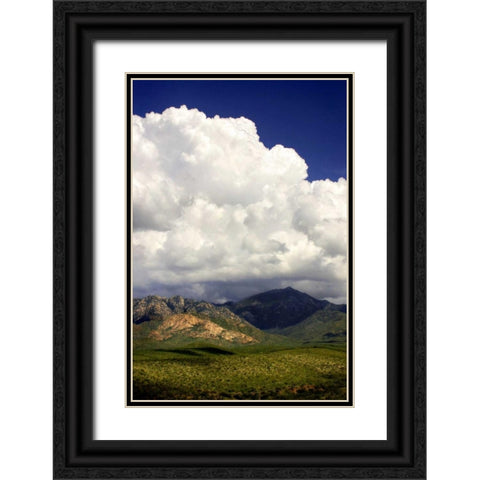 The Coming Storm Black Ornate Wood Framed Art Print with Double Matting by Taylor, Douglas