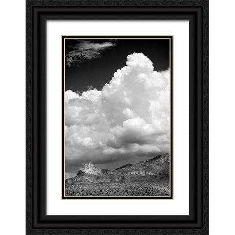 Gathering Summer Storm BW Black Ornate Wood Framed Art Print with Double Matting by Taylor, Douglas