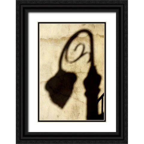 Shadow of Light Black Ornate Wood Framed Art Print with Double Matting by Taylor, Douglas