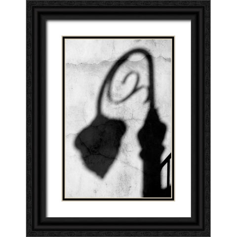 Shadow of Light BW Black Ornate Wood Framed Art Print with Double Matting by Taylor, Douglas
