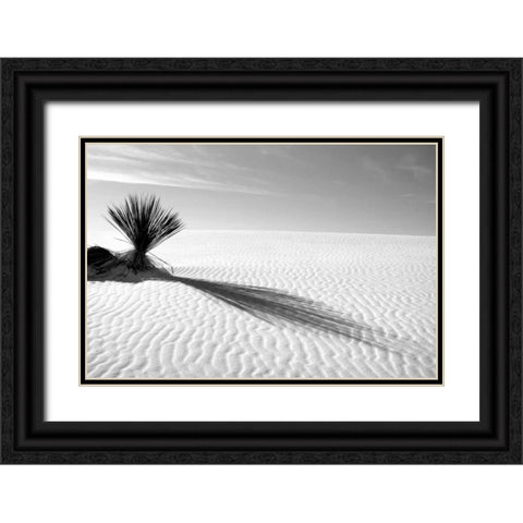 Shadows in the Sand I Black Ornate Wood Framed Art Print with Double Matting by Taylor, Douglas
