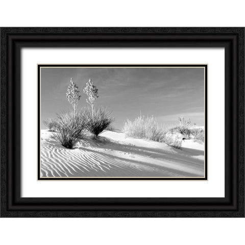Shadows in the Sand II Black Ornate Wood Framed Art Print with Double Matting by Taylor, Douglas