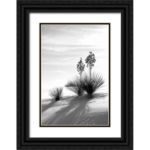 Yucca At White Sands II Black Ornate Wood Framed Art Print with Double Matting by Taylor, Douglas
