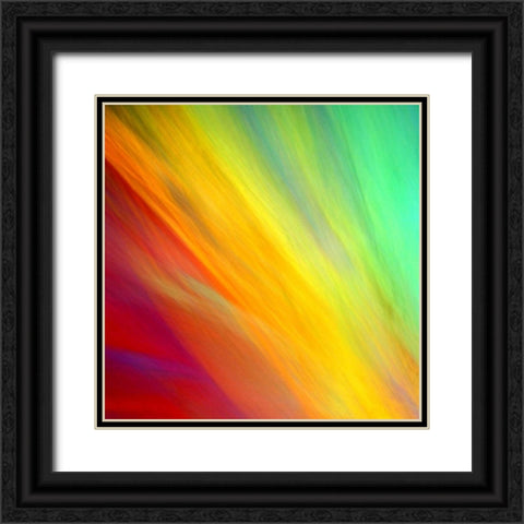Brushfire I Black Ornate Wood Framed Art Print with Double Matting by Taylor, Douglas