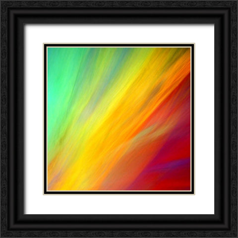 Brushfire II Black Ornate Wood Framed Art Print with Double Matting by Taylor, Douglas