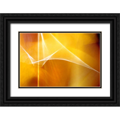 Amber Abstract II Black Ornate Wood Framed Art Print with Double Matting by Taylor, Douglas