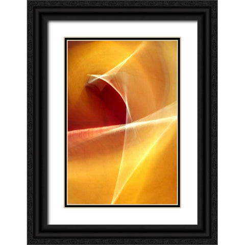 Ballet of Light Black Ornate Wood Framed Art Print with Double Matting by Taylor, Douglas