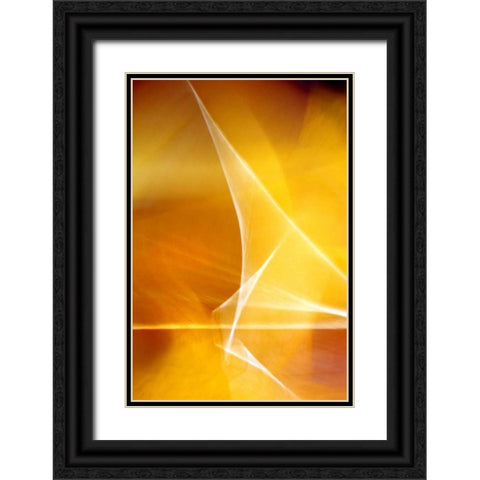 Amber Refraction I Black Ornate Wood Framed Art Print with Double Matting by Taylor, Douglas