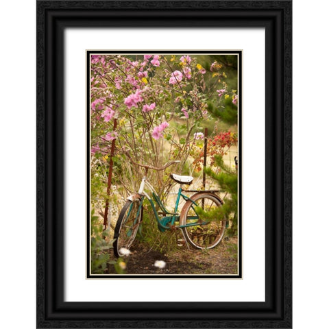 Vintage Bicycle IV Black Ornate Wood Framed Art Print with Double Matting by Clayton-Thompson, Philip
