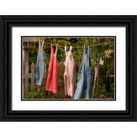 Out to Dry II Black Ornate Wood Framed Art Print with Double Matting by Clayton-Thompson, Philip
