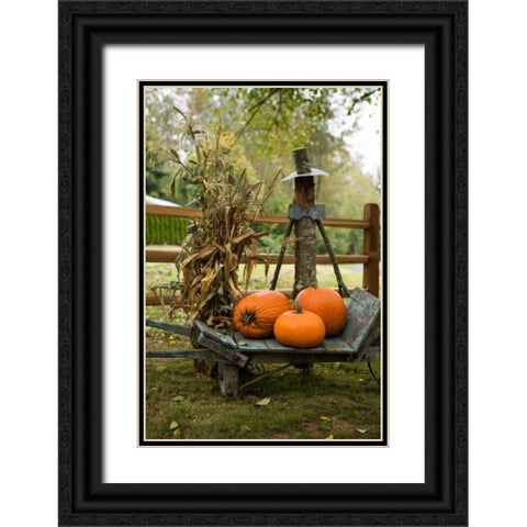 Autumn Harvest II Black Ornate Wood Framed Art Print with Double Matting by Clayton-Thompson, Philip