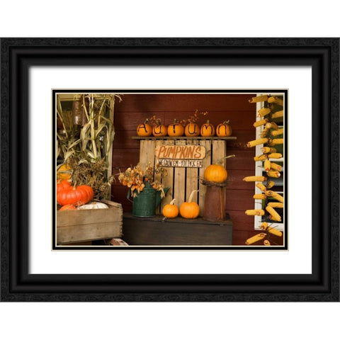 Autumn Harvest III Black Ornate Wood Framed Art Print with Double Matting by Clayton-Thompson, Philip