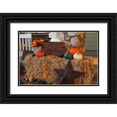 Autumn Harvest IV Black Ornate Wood Framed Art Print with Double Matting by Clayton-Thompson, Philip