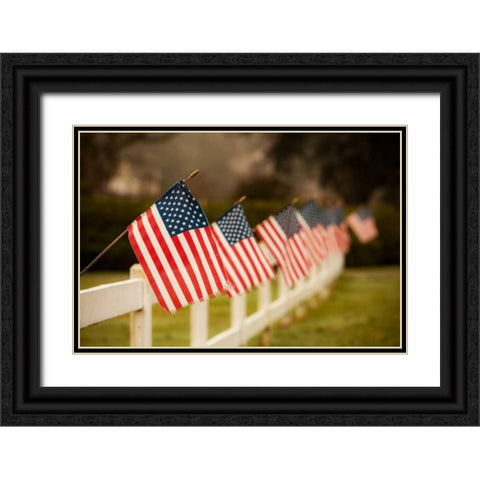 Flags I Black Ornate Wood Framed Art Print with Double Matting by Clayton-Thompson, Philip