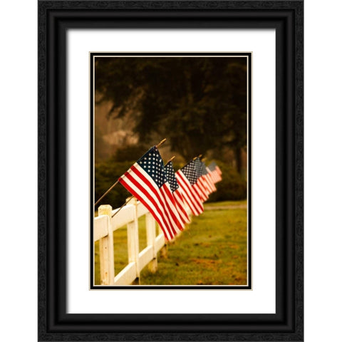 Flags II Black Ornate Wood Framed Art Print with Double Matting by Clayton-Thompson, Philip