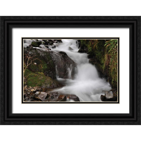 Stream Falls III Black Ornate Wood Framed Art Print with Double Matting by Thomas, Logan