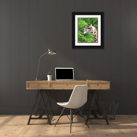 Giraffe III Black Ornate Wood Framed Art Print with Double Matting by Underdahl, Dana