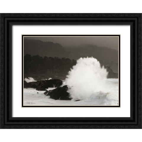 Sea Fan Black Ornate Wood Framed Art Print with Double Matting by Geyman, Vitaly