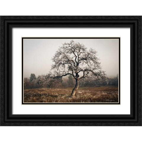 Frosty Tree Black Ornate Wood Framed Art Print with Double Matting by Geyman, Vitaly