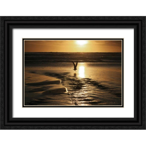 Sunset Bird Black Ornate Wood Framed Art Print with Double Matting by Geyman, Vitaly