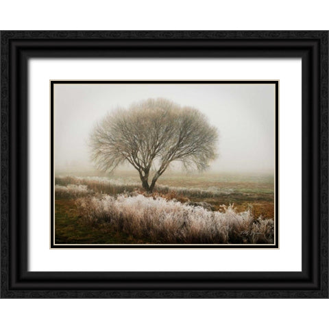 Tranquility I Black Ornate Wood Framed Art Print with Double Matting by Geyman, Vitaly