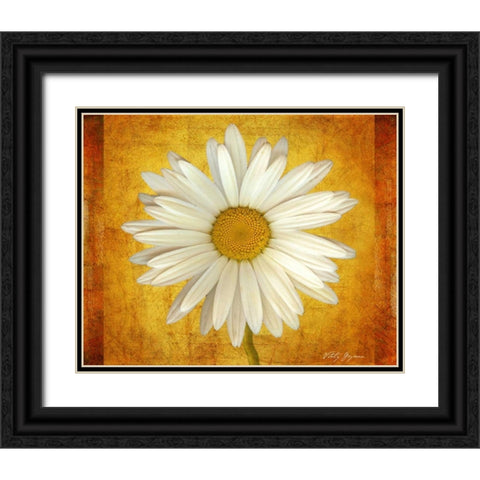 Daisy in Gold Black Ornate Wood Framed Art Print with Double Matting by Geyman, Vitaly