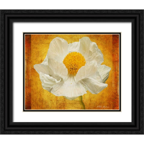 Poppy in Gold Black Ornate Wood Framed Art Print with Double Matting by Geyman, Vitaly