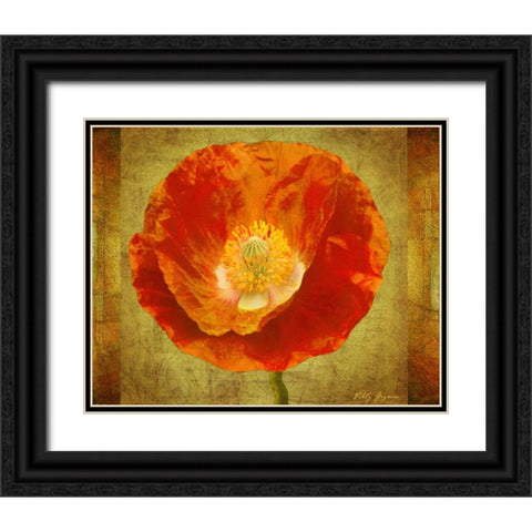 Sun Poppy I Black Ornate Wood Framed Art Print with Double Matting by Geyman, Vitaly