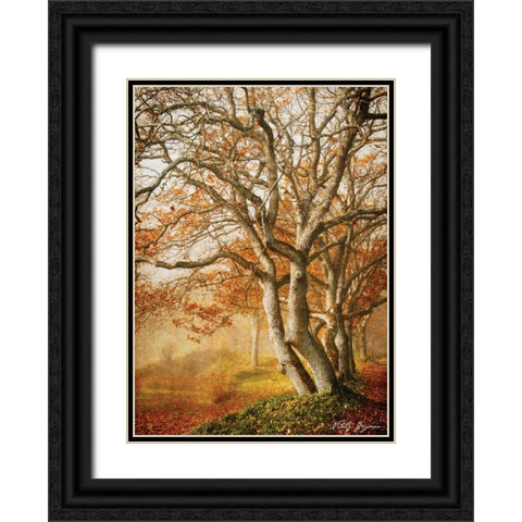 In the Mist II Black Ornate Wood Framed Art Print with Double Matting by Geyman, Vitaly