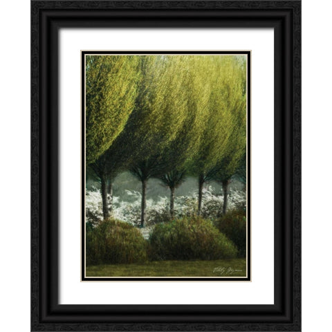 Evening Glow II Black Ornate Wood Framed Art Print with Double Matting by Geyman, Vitaly