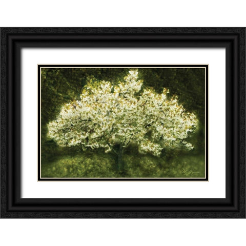 White Cherry Tree II Black Ornate Wood Framed Art Print with Double Matting by Geyman, Vitaly