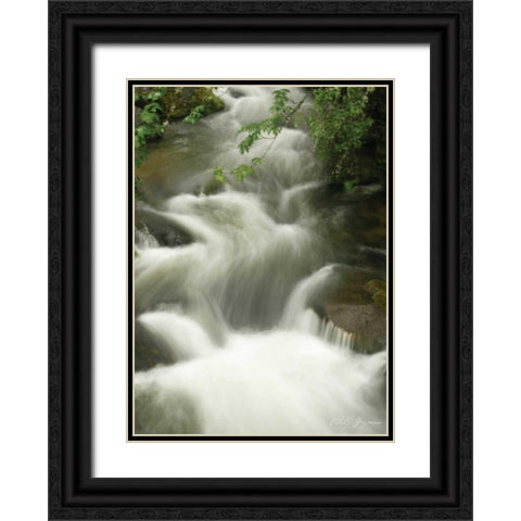 Soothing Waters I Black Ornate Wood Framed Art Print with Double Matting by Geyman, Vitaly