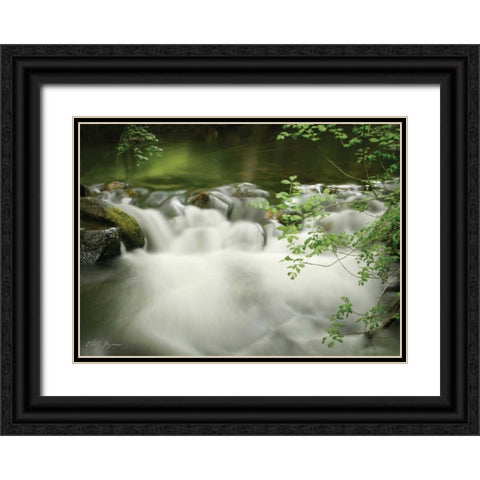 Soothing Waters XII Black Ornate Wood Framed Art Print with Double Matting by Geyman, Vitaly