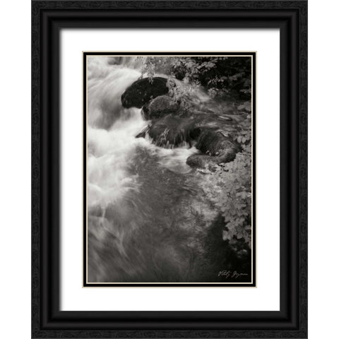 Flowing Waters II Black Ornate Wood Framed Art Print with Double Matting by Geyman, Vitaly