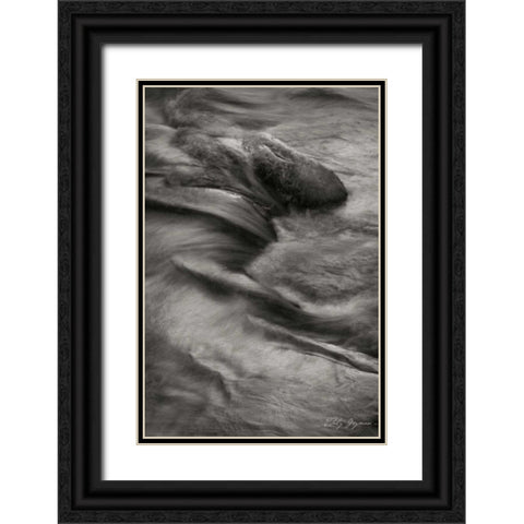 Flowing Waters VIII Black Ornate Wood Framed Art Print with Double Matting by Geyman, Vitaly