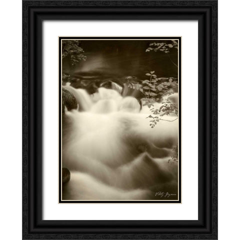 Sepia Waters I Black Ornate Wood Framed Art Print with Double Matting by Geyman, Vitaly
