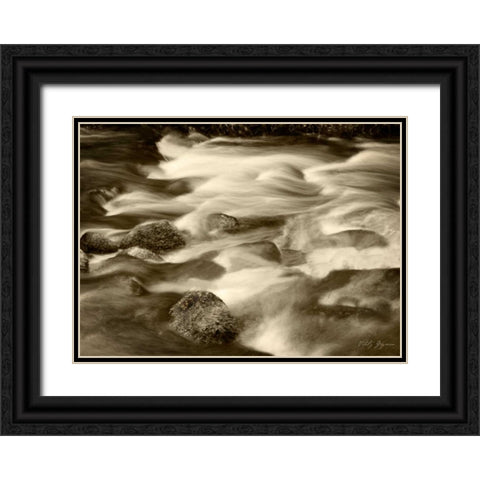 Sepia Waters V Black Ornate Wood Framed Art Print with Double Matting by Geyman, Vitaly