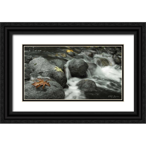 Silver Falls II Black Ornate Wood Framed Art Print with Double Matting by Geyman, Vitaly