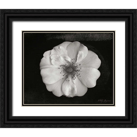 Classic Beauty Black Ornate Wood Framed Art Print with Double Matting by Geyman, Vitaly