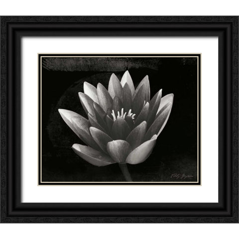 Glowing Lotus II Black Ornate Wood Framed Art Print with Double Matting by Geyman, Vitaly