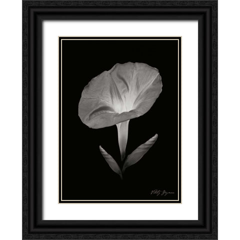 Morning Glory II Black Ornate Wood Framed Art Print with Double Matting by Geyman, Vitaly