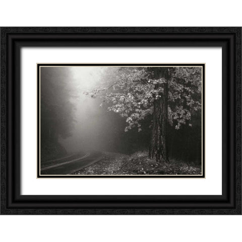 Misty Yellow Tree BandW Black Ornate Wood Framed Art Print with Double Matting by Geyman, Vitaly