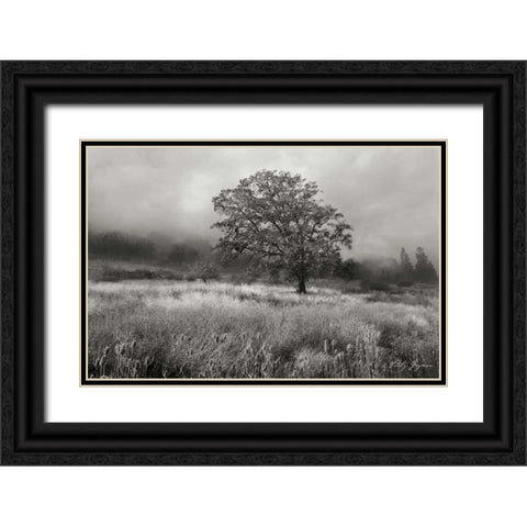 Field of Gold BandW Black Ornate Wood Framed Art Print with Double Matting by Geyman, Vitaly