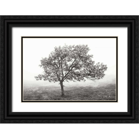 Burning Oak I BandW Black Ornate Wood Framed Art Print with Double Matting by Geyman, Vitaly