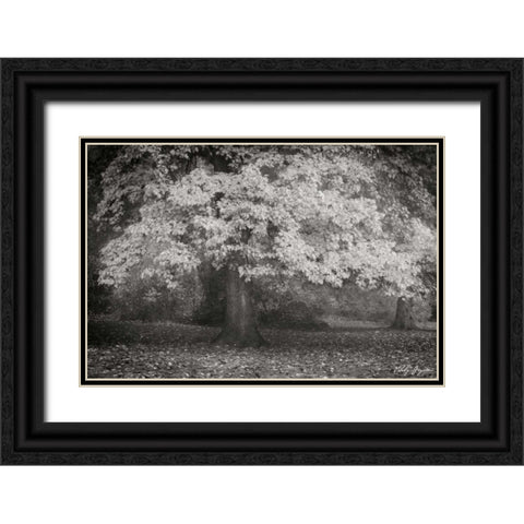 Autumn In Paris BandW Black Ornate Wood Framed Art Print with Double Matting by Geyman, Vitaly