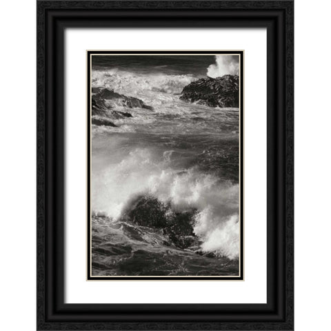 Ocean Fury III Black Ornate Wood Framed Art Print with Double Matting by Geyman, Vitaly