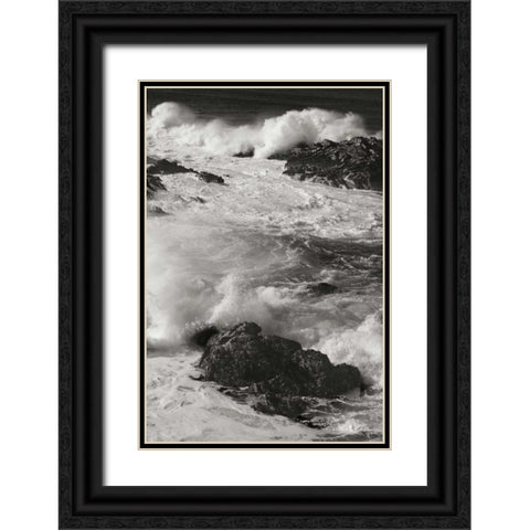 Ocean Fury IV Black Ornate Wood Framed Art Print with Double Matting by Geyman, Vitaly