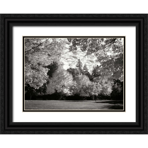 Fall Maple Fever V BandW Black Ornate Wood Framed Art Print with Double Matting by Geyman, Vitaly
