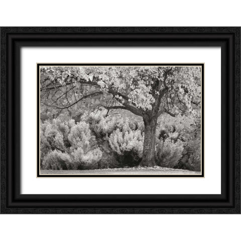 Ocean of Colors BandW Black Ornate Wood Framed Art Print with Double Matting by Geyman, Vitaly